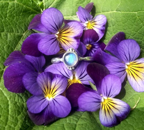 Ring - Round Labradorite